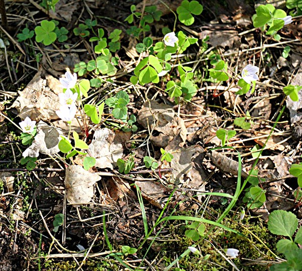 166-Национальныи парк Кемери